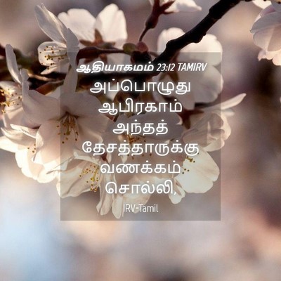 Picture 04 - ஆதியாகமம் 23:12 TAMIRV - அப்பொழுது - Bible Verse Picture