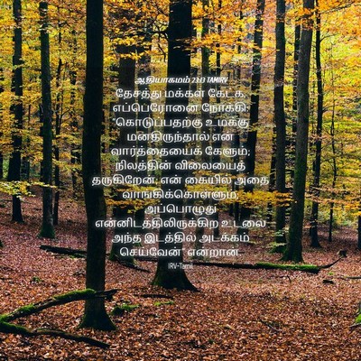 Picture 04 - ஆதியாகமம் 23:13 TAMIRV - தேசத்து மக்கள் - Bible Verse Picture