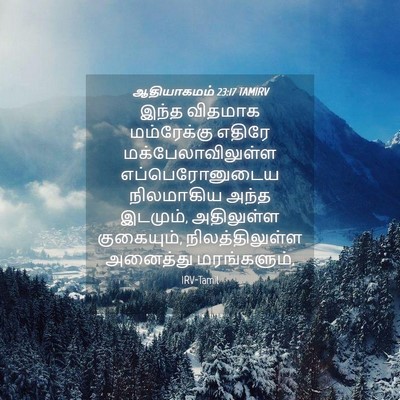 Picture 04 - ஆதியாகமம் 23:17 TAMIRV - இந்த விதமாக - Bible Verse Picture