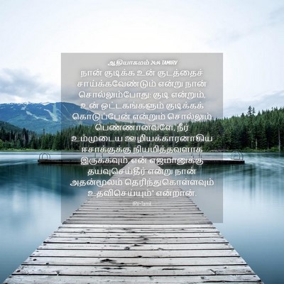 Picture 04 - ஆதியாகமம் 24:14 TAMIRV - நான் குடிக்க உன் - Bible Verse Picture