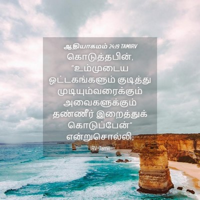Picture 04 - ஆதியாகமம் 24:19 TAMIRV - கொடுத்தபின், - Bible Verse Picture