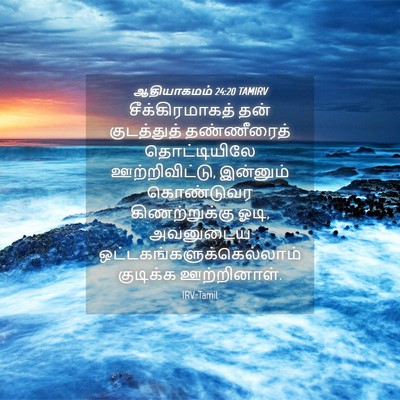Picture 04 - ஆதியாகமம் 24:20 TAMIRV - சீக்கிரமாகத் தன் - Bible Verse Picture