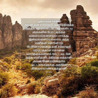 Picture 04 - ஆதியாகமம் 24:30 TAMIRV - அவன் தன் சகோதரி - Bible Verse Picture