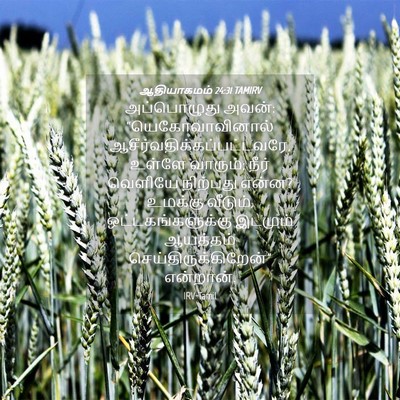 Picture 04 - ஆதியாகமம் 24:31 TAMIRV - அப்பொழுது அவன்: - Bible Verse Picture