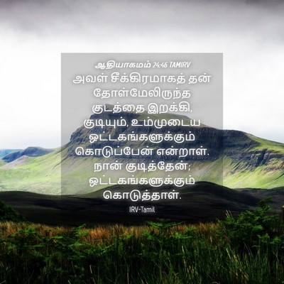Picture 04 - ஆதியாகமம் 24:46 TAMIRV - அவள் சீக்கிரமாகத் - Bible Verse Picture