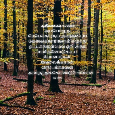 Picture 04 - ஆதியாகமம் 24:61 TAMIRV - அப்பொழுது - Bible Verse Picture