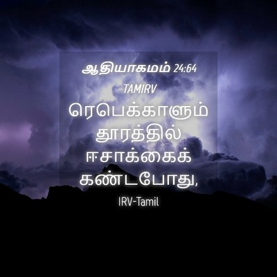 Picture 04 - ஆதியாகமம் 24:64 TAMIRV - ரெபெக்காளும் - Bible Verse Picture