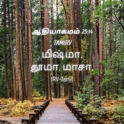 Picture 04 - ஆதியாகமம் 25:14 TAMIRV - மிஷ்மா, தூமா, - Bible Verse Picture
