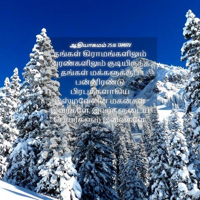 Picture 04 - ஆதியாகமம் 25:16 TAMIRV - தங்கள் - Bible Verse Picture