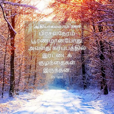 Picture 04 - ஆதியாகமம் 25:24 TAMIRV - பிரசவநேரம் - Bible Verse Picture