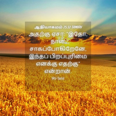 Picture 04 - ஆதியாகமம் 25:32 TAMIRV - அதற்கு ஏசா: “இதோ, - Bible Verse Picture