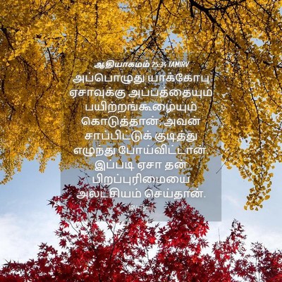 Picture 04 - ஆதியாகமம் 25:34 TAMIRV - அப்பொழுது - Bible Verse Picture