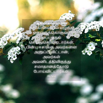 Picture 04 - ஆதியாகமம் 26:31 TAMIRV - அதிகாலையில் - Bible Verse Picture
