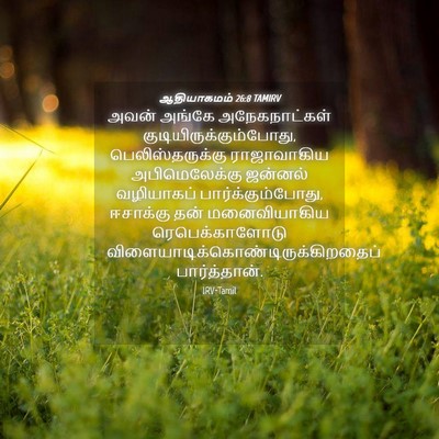 Picture 04 - ஆதியாகமம் 26:8 TAMIRV - அவன் அங்கே - Bible Verse Picture