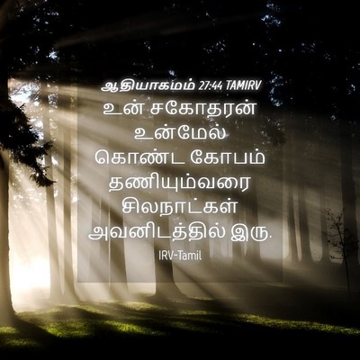 Picture 04 - ஆதியாகமம் 27:44 TAMIRV - உன் சகோதரன் - Bible Verse Picture