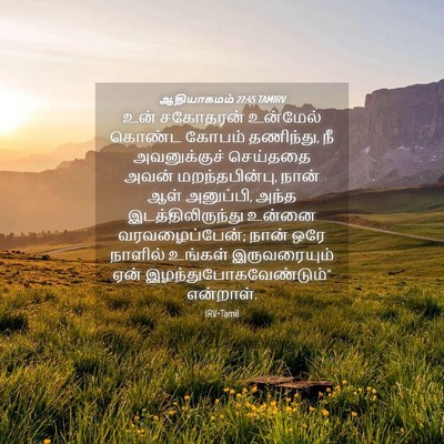 Picture 04 - ஆதியாகமம் 27:45 TAMIRV - உன் சகோதரன் - Bible Verse Picture