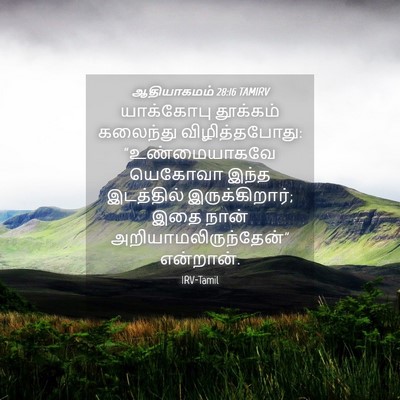 Picture 04 - ஆதியாகமம் 28:16 TAMIRV - யாக்கோபு தூக்கம் - Bible Verse Picture