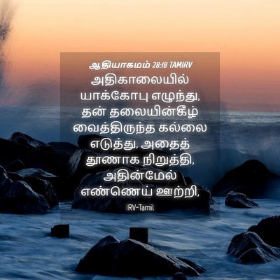 Picture 04 - ஆதியாகமம் 28:18 TAMIRV - அதிகாலையில் - Bible Verse Picture