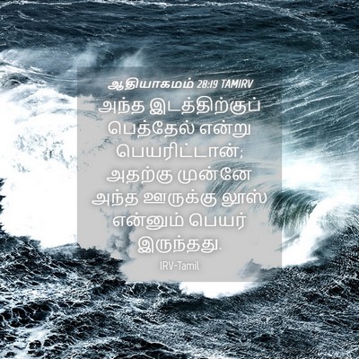 Picture 04 - ஆதியாகமம் 28:19 TAMIRV - அந்த இடத்திற்குப் - Bible Verse Picture