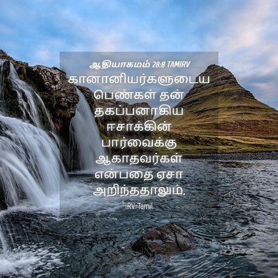 Picture 04 - ஆதியாகமம் 28:8 TAMIRV - கானானியர்களுடைய - Bible Verse Picture