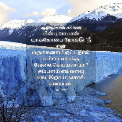 Picture 04 - ஆதியாகமம் 29:15 TAMIRV - பின்பு லாபான் - Bible Verse Picture