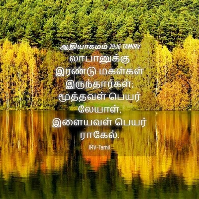 Picture 04 - ஆதியாகமம் 29:16 TAMIRV - லாபானுக்கு இரண்டு - Bible Verse Picture