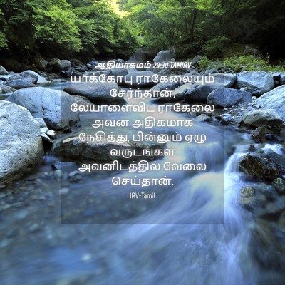 Picture 04 - ஆதியாகமம் 29:30 TAMIRV - யாக்கோபு - Bible Verse Picture