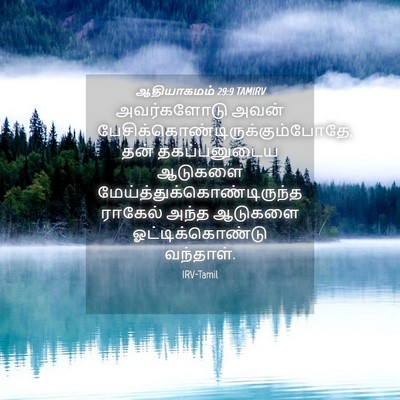 Picture 04 - ஆதியாகமம் 29:9 TAMIRV - அவர்களோடு அவன் - Bible Verse Picture