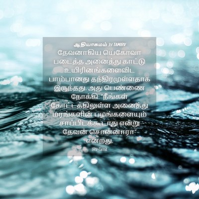 Picture 04 - ஆதியாகமம் 3:1 TAMIRV - தேவனாகிய யெகோவா - Bible Verse Picture