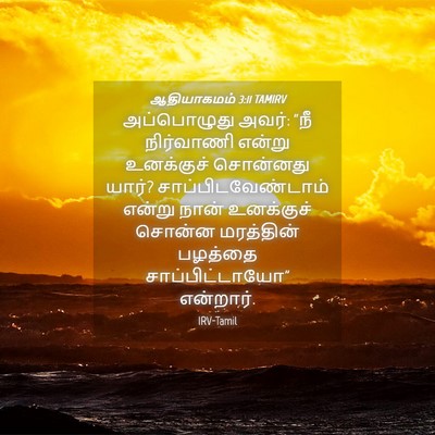 Picture 04 - ஆதியாகமம் 3:11 TAMIRV - அப்பொழுது அவர்: - Bible Verse Picture