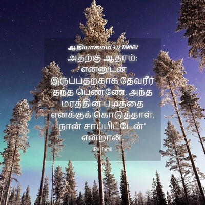 Picture 04 - ஆதியாகமம் 3:12 TAMIRV - அதற்கு ஆதாம்: - Bible Verse Picture