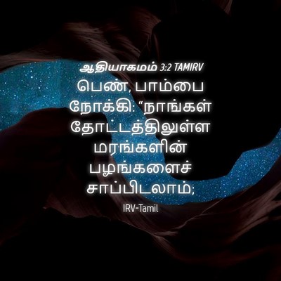 Picture 04 - ஆதியாகமம் 3:2 TAMIRV - பெண், பாம்பை - Bible Verse Picture