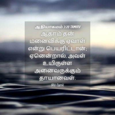 Picture 04 - ஆதியாகமம் 3:20 TAMIRV - ஆதாம் தன் - Bible Verse Picture