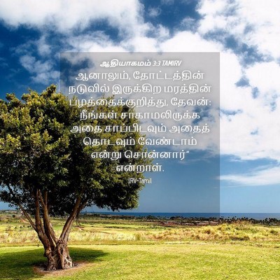Picture 04 - ஆதியாகமம் 3:3 TAMIRV - ஆனாலும், - Bible Verse Picture
