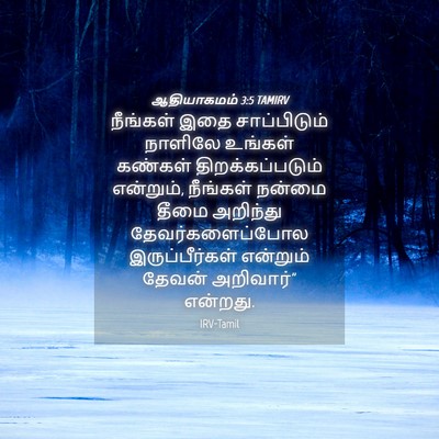 Picture 04 - ஆதியாகமம் 3:5 TAMIRV - நீங்கள் இதை - Bible Verse Picture