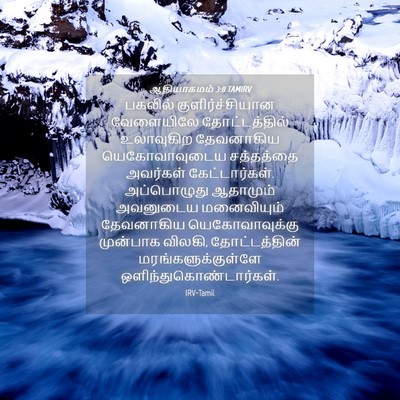 Picture 04 - ஆதியாகமம் 3:8 TAMIRV - பகலில் - Bible Verse Picture