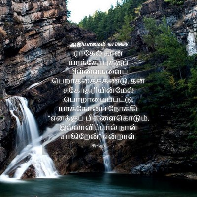 Picture 04 - ஆதியாகமம் 30:1 TAMIRV - ராகேல் தான் - Bible Verse Picture