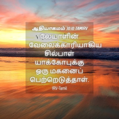 Picture 04 - ஆதியாகமம் 30:10 TAMIRV - லேயாளின் - Bible Verse Picture