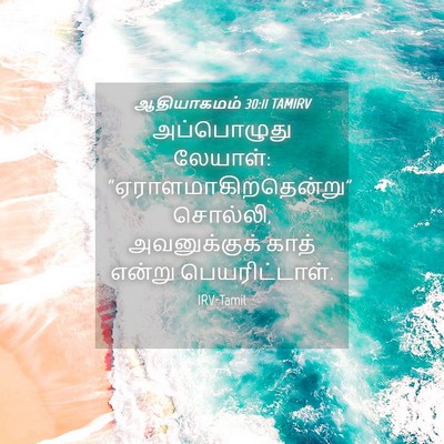 Picture 04 - ஆதியாகமம் 30:11 TAMIRV - அப்பொழுது லேயாள்: - Bible Verse Picture