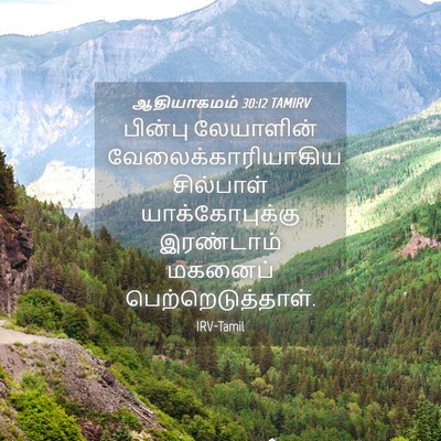 Picture 04 - ஆதியாகமம் 30:12 TAMIRV - பின்பு லேயாளின் - Bible Verse Picture