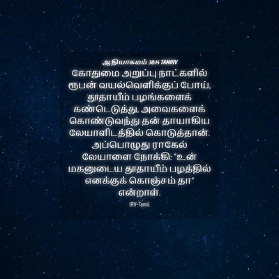 Picture 04 - ஆதியாகமம் 30:14 TAMIRV - கோதுமை அறுப்பு - Bible Verse Picture
