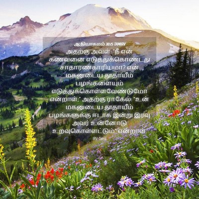 Picture 04 - ஆதியாகமம் 30:15 TAMIRV - அதற்கு அவள்: “நீ - Bible Verse Picture
