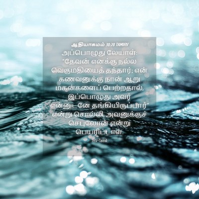 Picture 04 - ஆதியாகமம் 30:20 TAMIRV - அப்பொழுது லேயாள்: - Bible Verse Picture