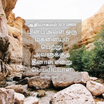 Picture 04 - ஆதியாகமம் 30:21 TAMIRV - பின்பு அவள் ஒரு - Bible Verse Picture