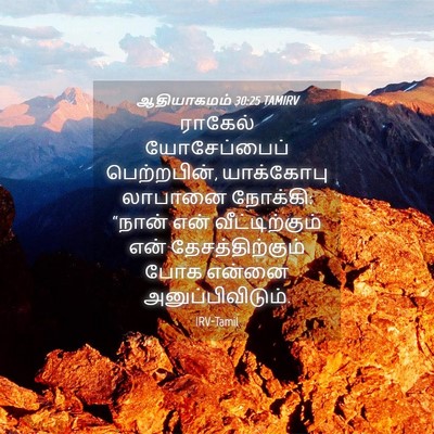 Picture 04 - ஆதியாகமம் 30:25 TAMIRV - ராகேல் யோசேப்பைப் - Bible Verse Picture