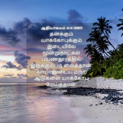 Picture 04 - ஆதியாகமம் 30:36 TAMIRV - தனக்கும் - Bible Verse Picture