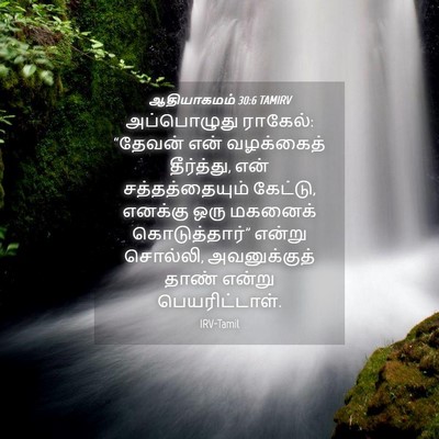 Picture 04 - ஆதியாகமம் 30:6 TAMIRV - அப்பொழுது ராகேல்: - Bible Verse Picture