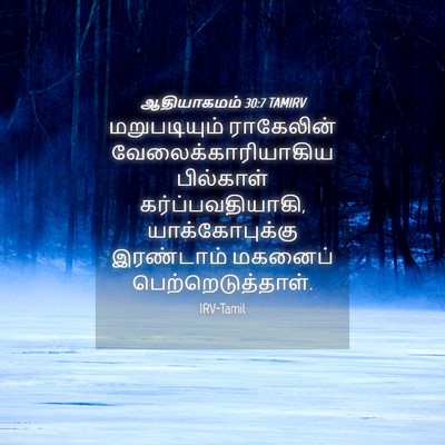 Picture 04 - ஆதியாகமம் 30:7 TAMIRV - மறுபடியும் - Bible Verse Picture