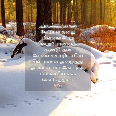 Picture 04 - ஆதியாகமம் 30:9 TAMIRV - லேயாள் தனது - Bible Verse Picture