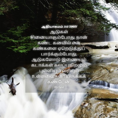 Picture 04 - ஆதியாகமம் 31:10 TAMIRV - ஆடுகள் - Bible Verse Picture
